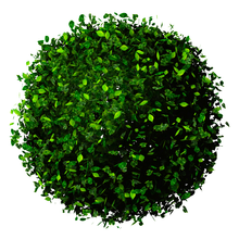 Deloitte Green Dot's avatar